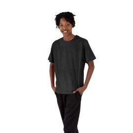 Phoenix Airtex T-Shirts Phoenix Airtex T-Shirts